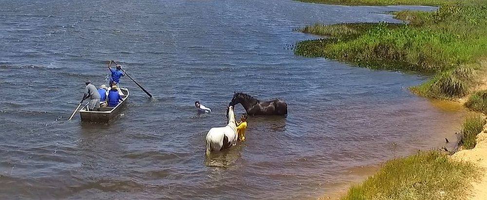 Coconut Trail Ride - horseXperiences™ GO EQUESTRIAN