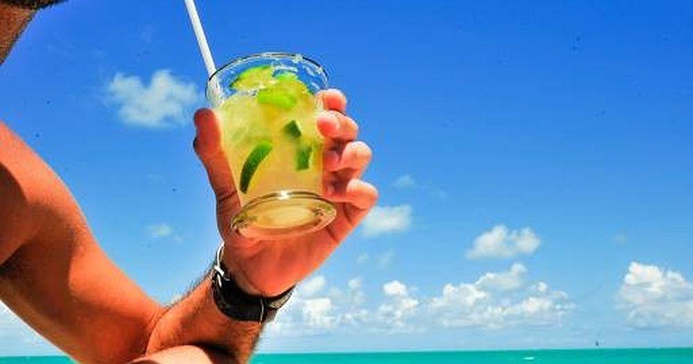 Coconut Trail Ride - horseXperiences™ GO EQUESTRIAN