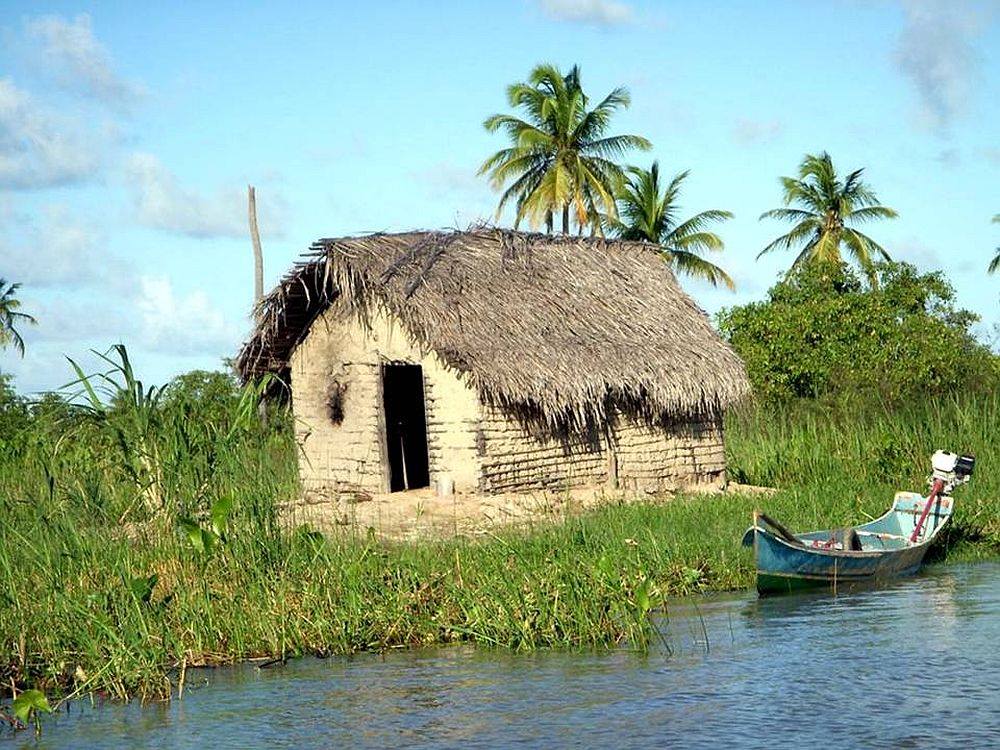 Coconut Trail Ride - horseXperiences™ GO EQUESTRIAN