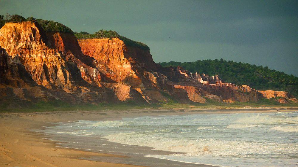 Coconut Trail Ride - horseXperiences™ GO EQUESTRIAN