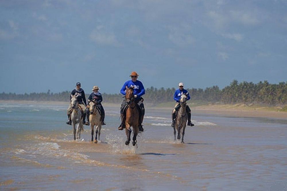 Coconut Trail Ride - horseXperiences™ GO EQUESTRIAN