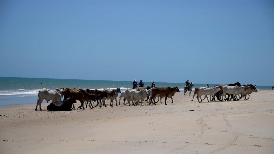 Coconut Trail Ride - horseXperiences™ GO EQUESTRIAN