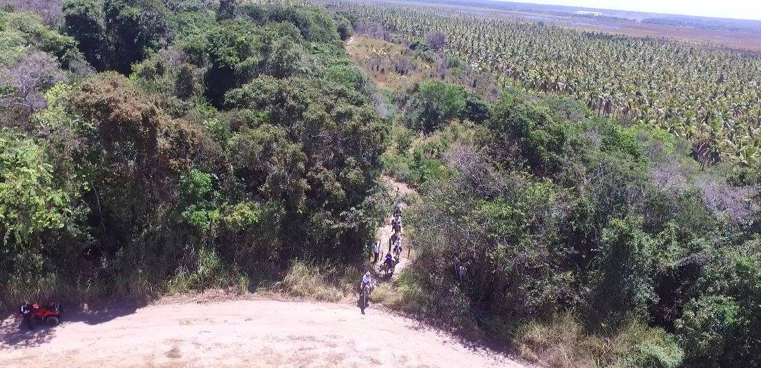 Coconut Trail Ride - horseXperiences™ GO EQUESTRIAN