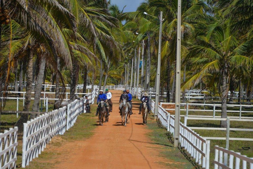Coconut Trail Ride - horseXperiences™ GO EQUESTRIAN