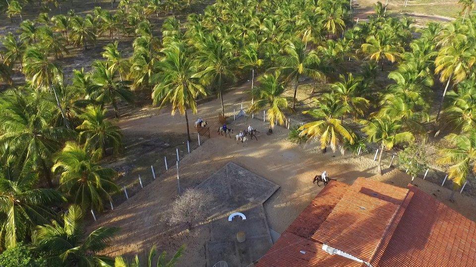 Coconut Trail Ride - horseXperiences™ GO EQUESTRIAN