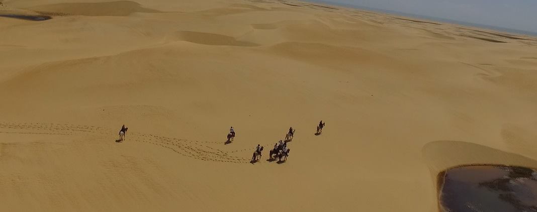 Coconut Trail Ride - horseXperiences™ GO EQUESTRIAN