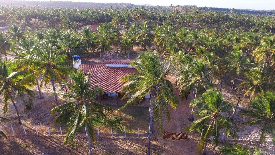 Coconut Trail Ride - horseXperiences™ GO EQUESTRIAN