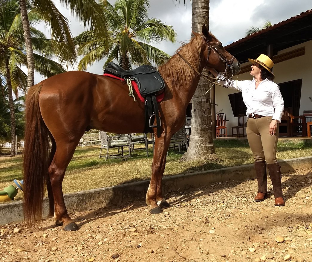 Coconut Trail Ride - horseXperiences™ GO EQUESTRIAN