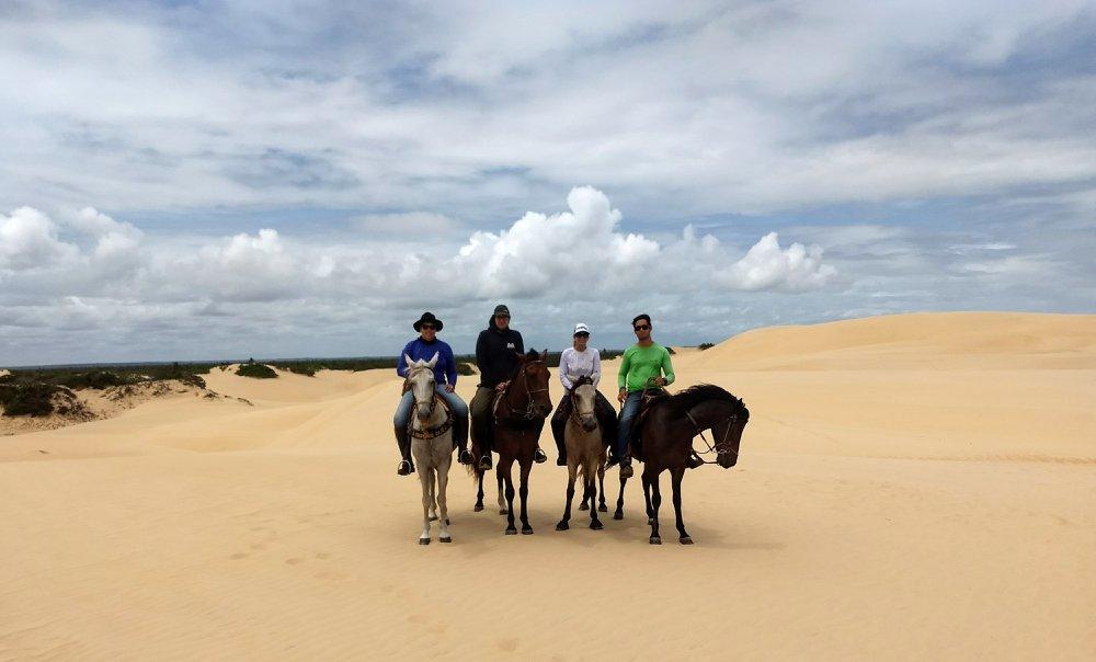 Coconut Trail Ride - horseXperiences™ GO EQUESTRIAN