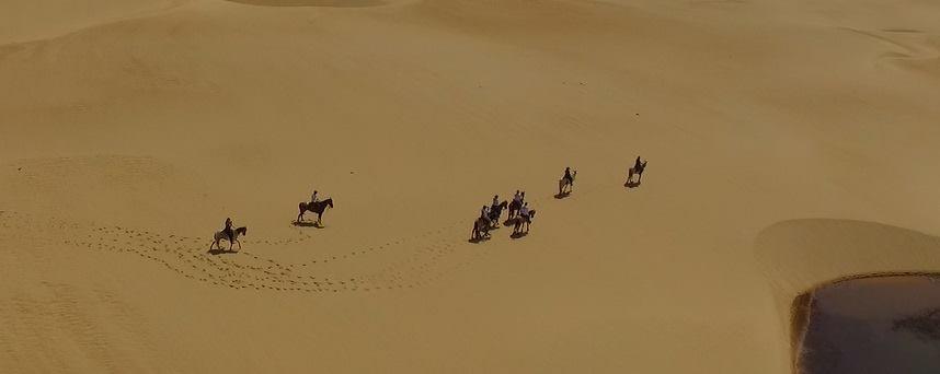 Coconut Trail Ride - horseXperiences™ GO EQUESTRIAN