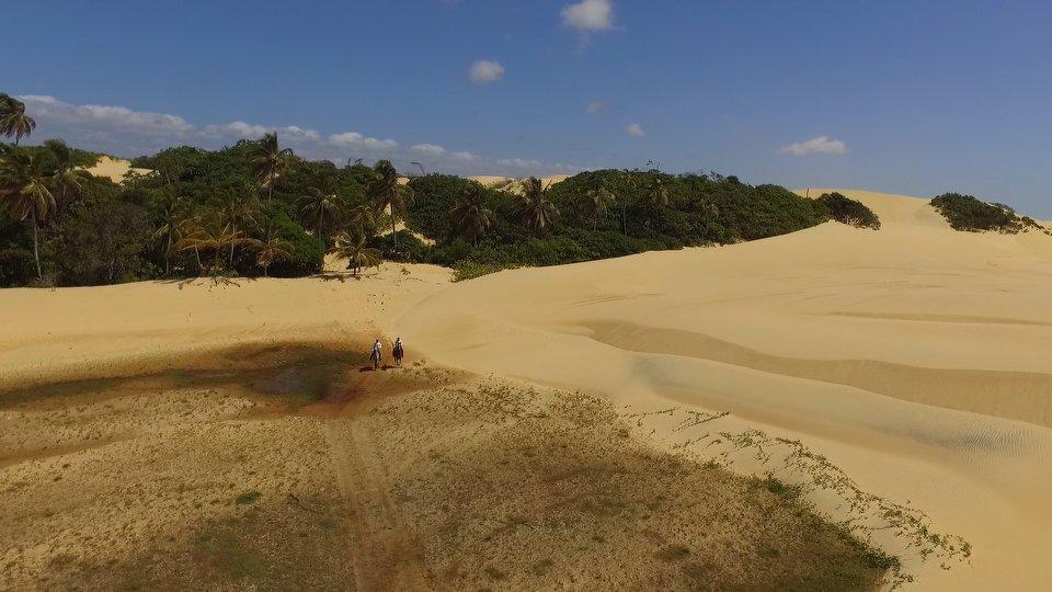 Coconut Trail Ride - horseXperiences™ GO EQUESTRIAN