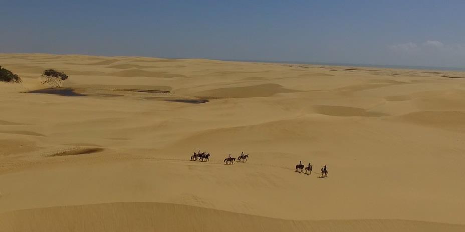 Coconut Trail Ride - horseXperiences™ GO EQUESTRIAN