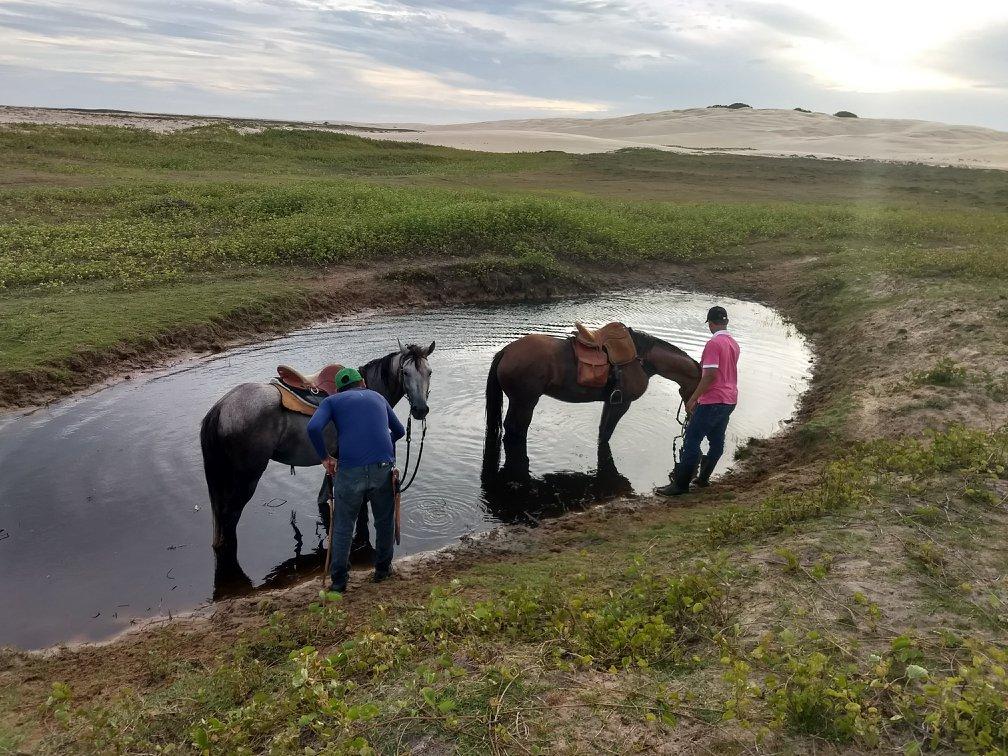 Coconut Trail Ride - horseXperiences™ GO EQUESTRIAN