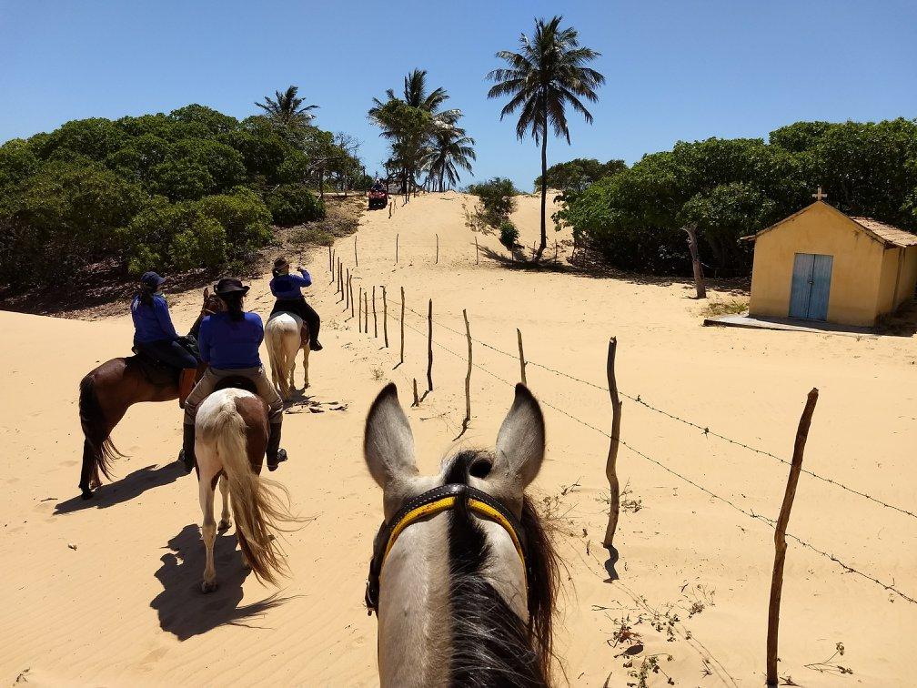 Coconut Trail Ride - horseXperiences™ GO EQUESTRIAN