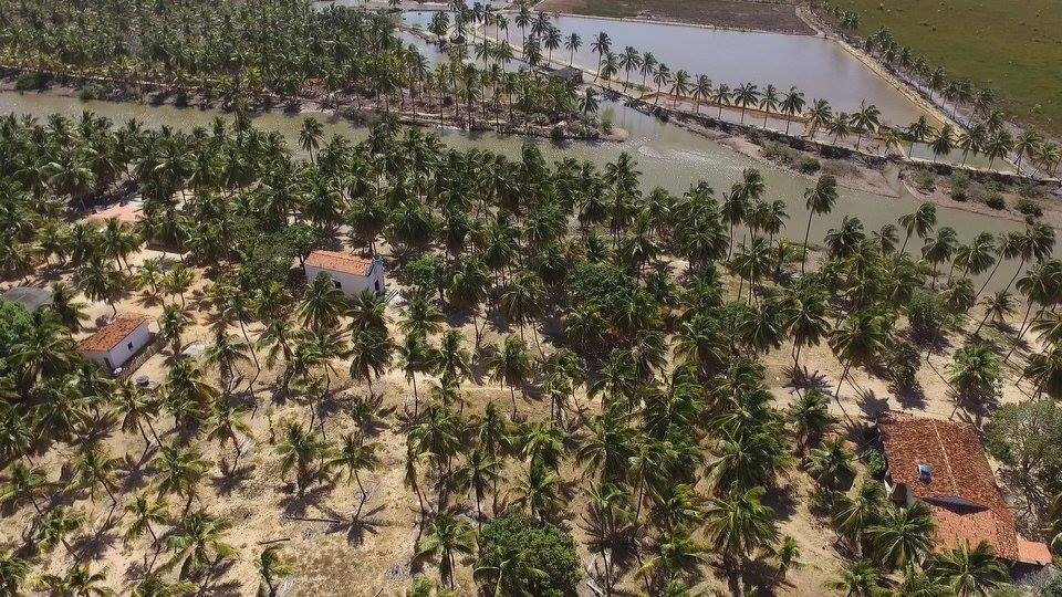 Coconut Trail Ride - horseXperiences™ GO EQUESTRIAN