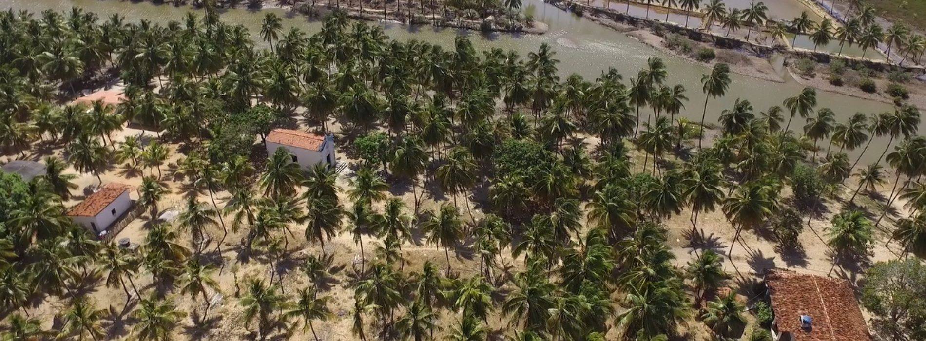 Coconut Trail Ride - horseXperiences™ GO EQUESTRIAN