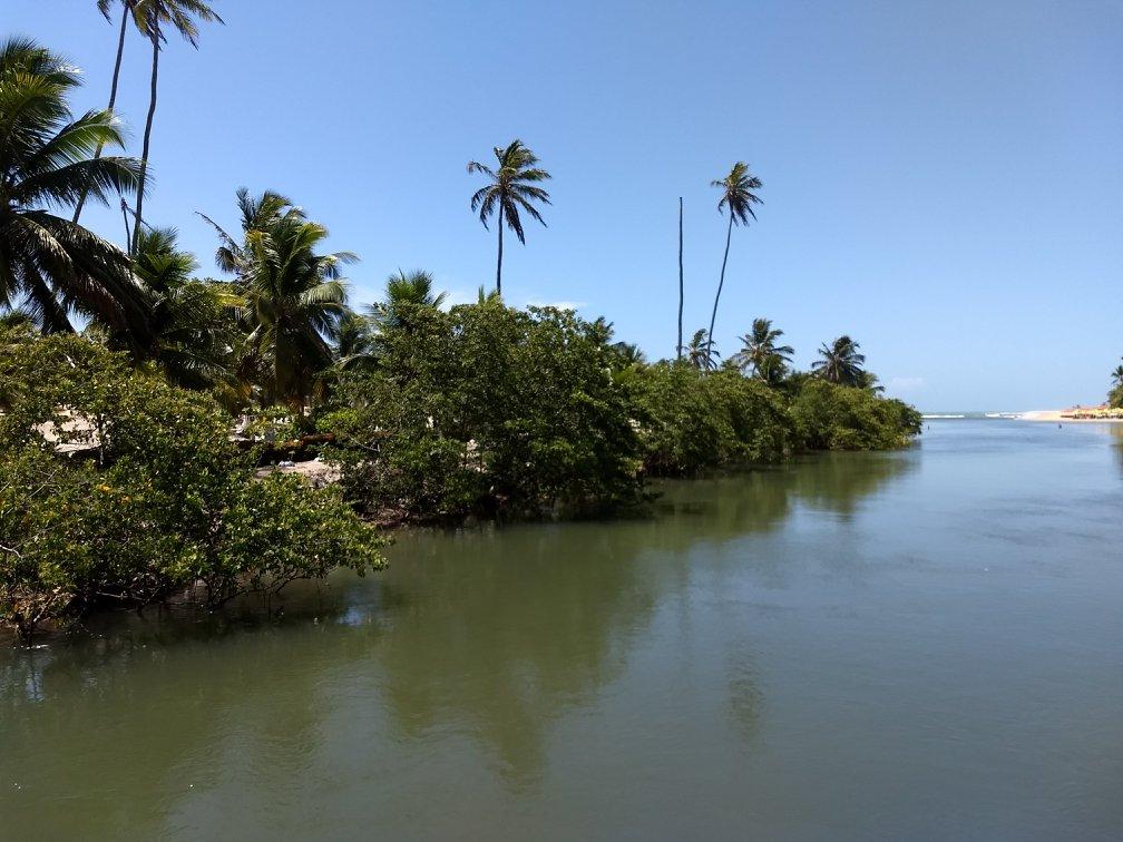 Coconut Trail Ride - horseXperiences™ GO EQUESTRIAN