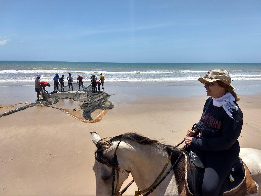 Coconut Trail Ride - horseXperiences™ GO EQUESTRIAN