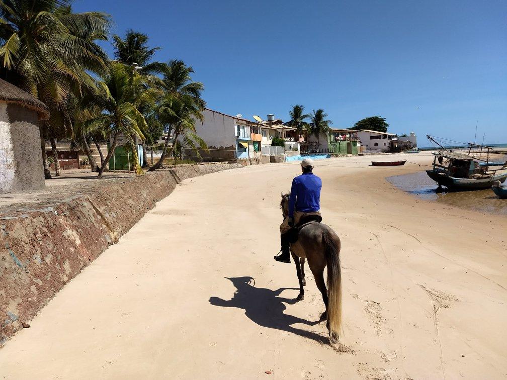 Coconut Trail Ride - horseXperiences™ GO EQUESTRIAN