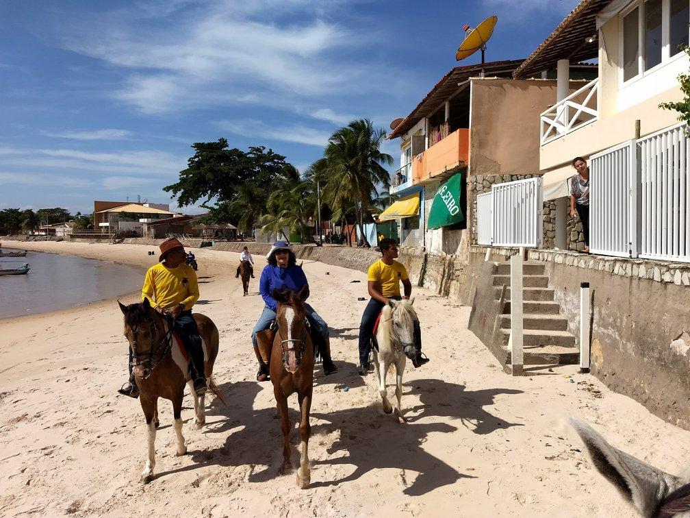 Coconut Trail Ride - horseXperiences™ GO EQUESTRIAN