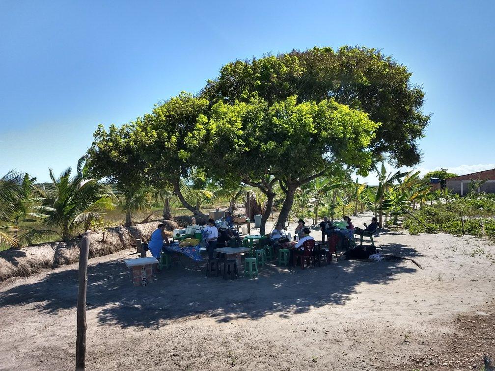 Coconut Trail Ride - horseXperiences™ GO EQUESTRIAN