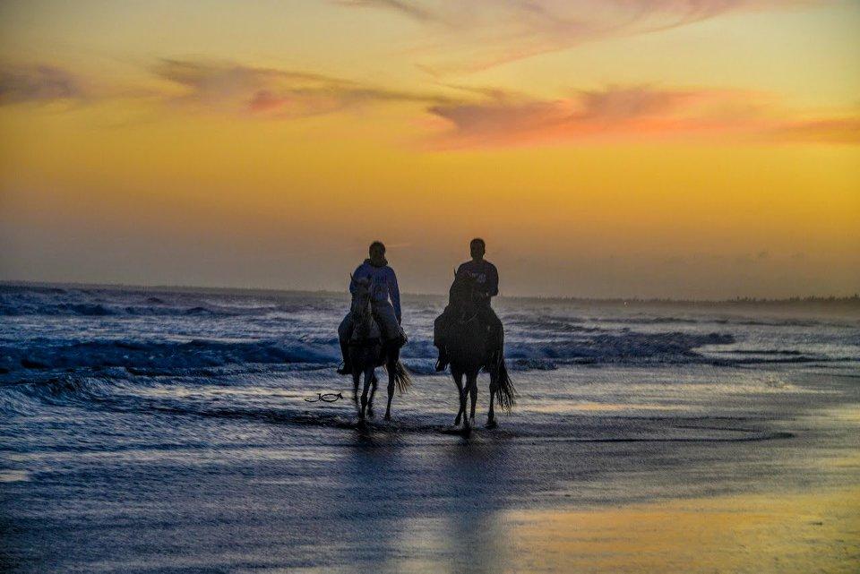 Coconut Trail Ride - horseXperiences™ GO EQUESTRIAN