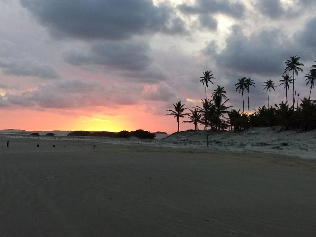 Coconut Trail Ride - horseXperiences™ GO EQUESTRIAN