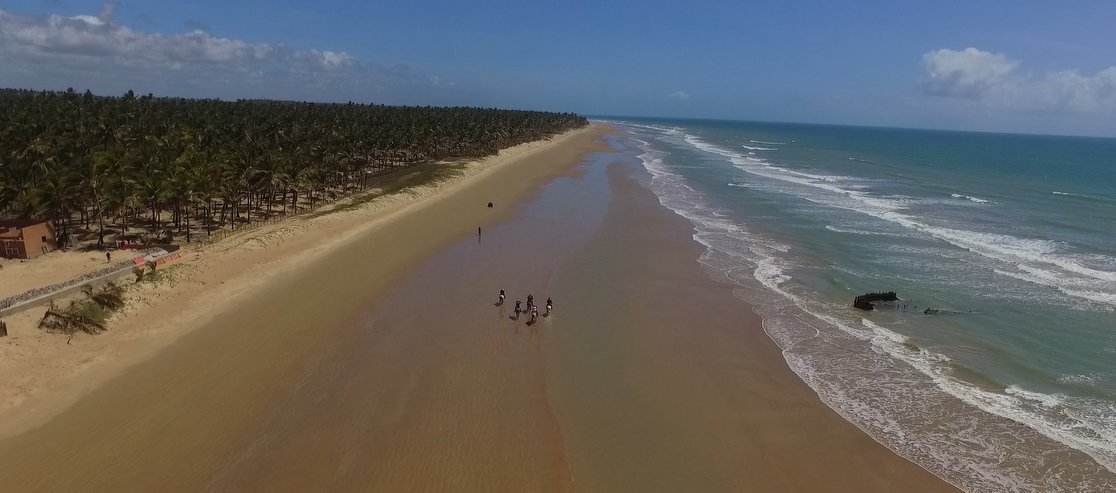 Coconut Trail Ride - horseXperiences™ GO EQUESTRIAN