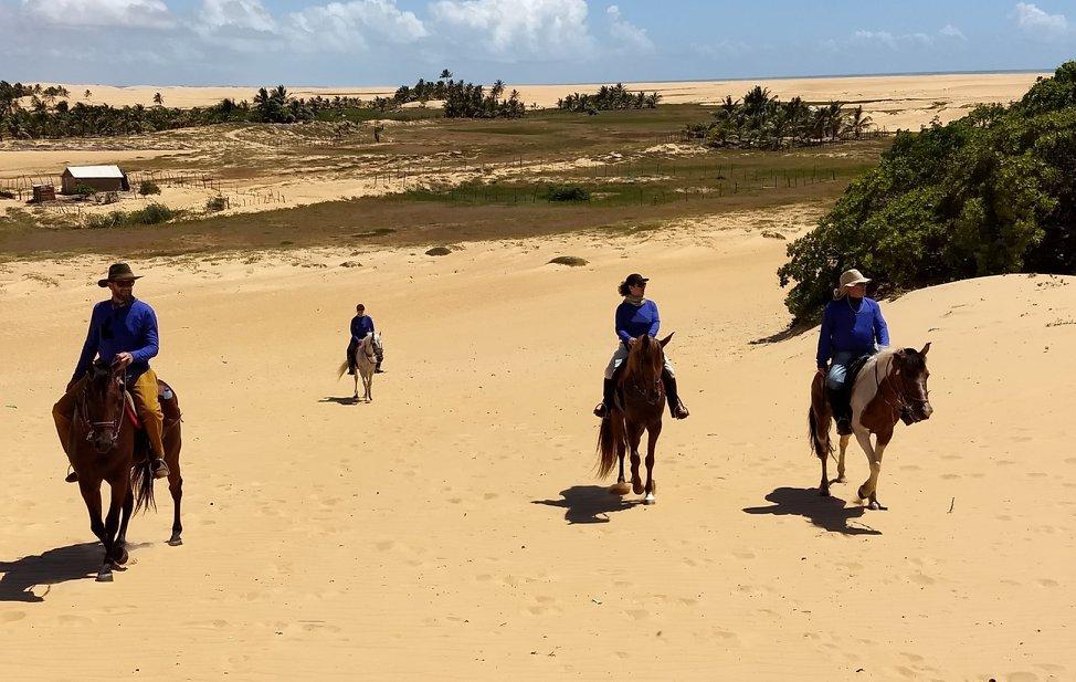 Coconut Trail Ride - horseXperiences™ GO EQUESTRIAN