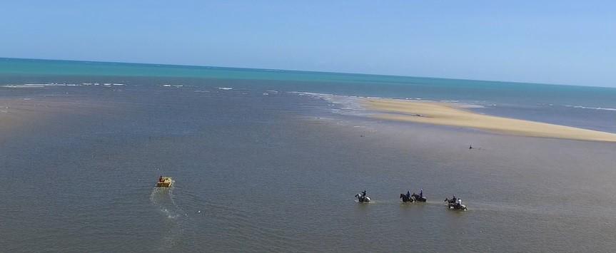 Coconut Trail Ride - horseXperiences™ GO EQUESTRIAN