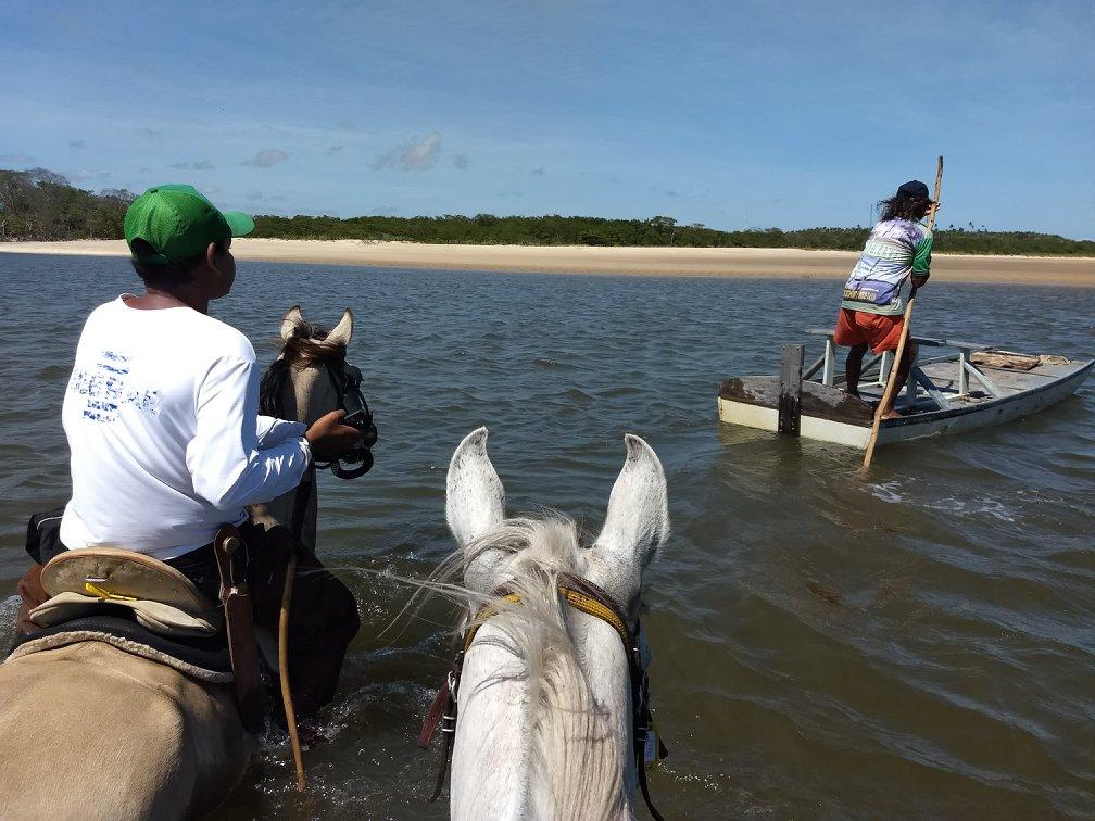 Coconut Trail Ride - horseXperiences™ GO EQUESTRIAN