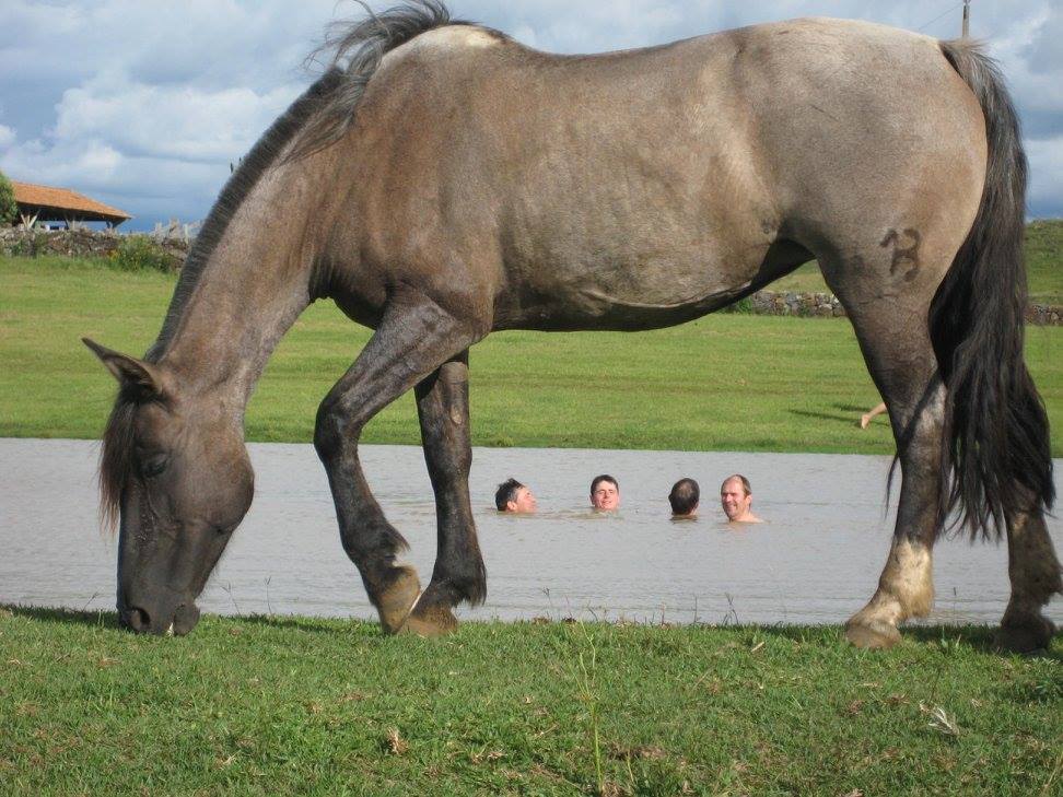 The Gaucho Trail - horseXperiences™ GO EQUESTRIAN