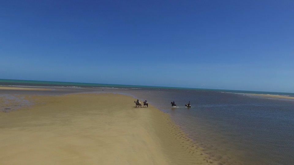 Coconut Trail Ride - horseXperiences™ GO EQUESTRIAN