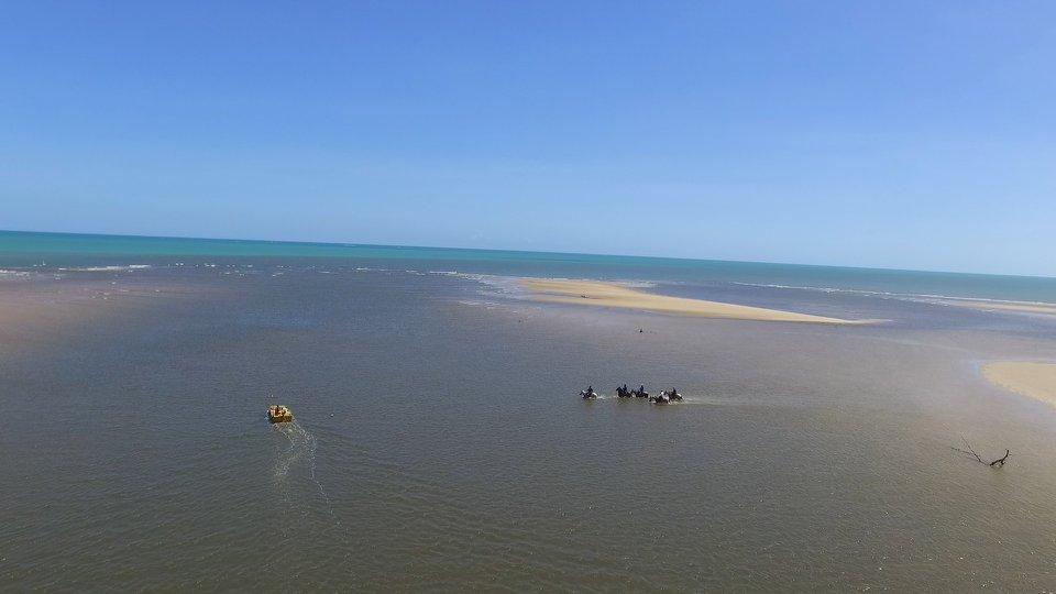 Coconut Trail Ride - horseXperiences™ GO EQUESTRIAN