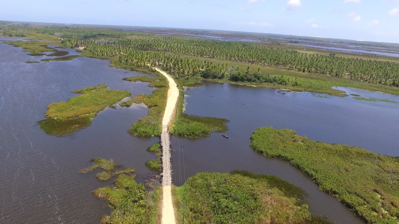 Coconut Trail Ride - horseXperiences™ GO EQUESTRIAN