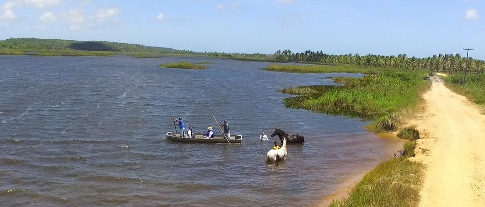 Coconut Trail Ride - horseXperiences™ GO EQUESTRIAN