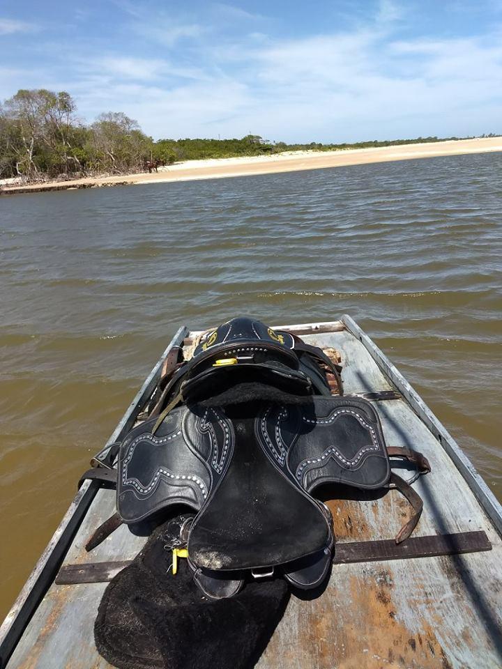 Coconut Trail Ride - horseXperiences™ GO EQUESTRIAN