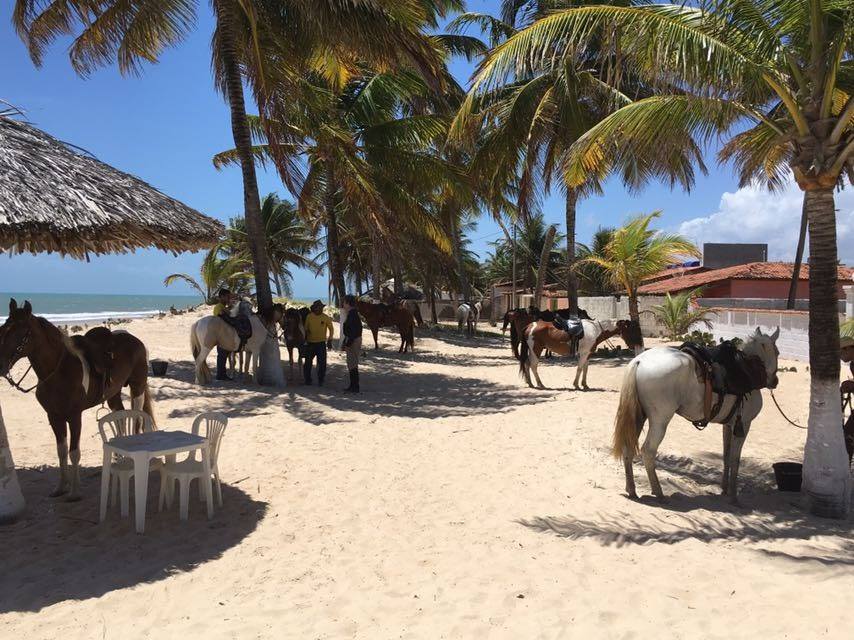Coconut Trail Ride - horseXperiences™ GO EQUESTRIAN