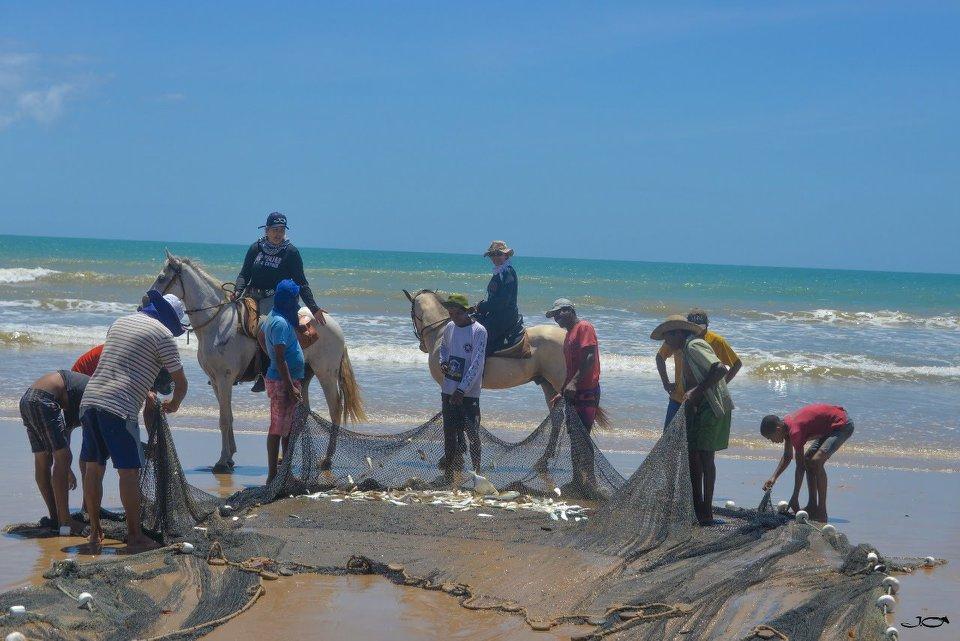 Coconut Trail Ride - horseXperiences™ GO EQUESTRIAN