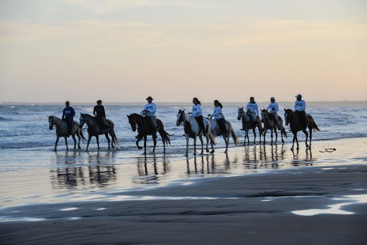 Coconut Trail Ride - horseXperiences™ GO EQUESTRIAN