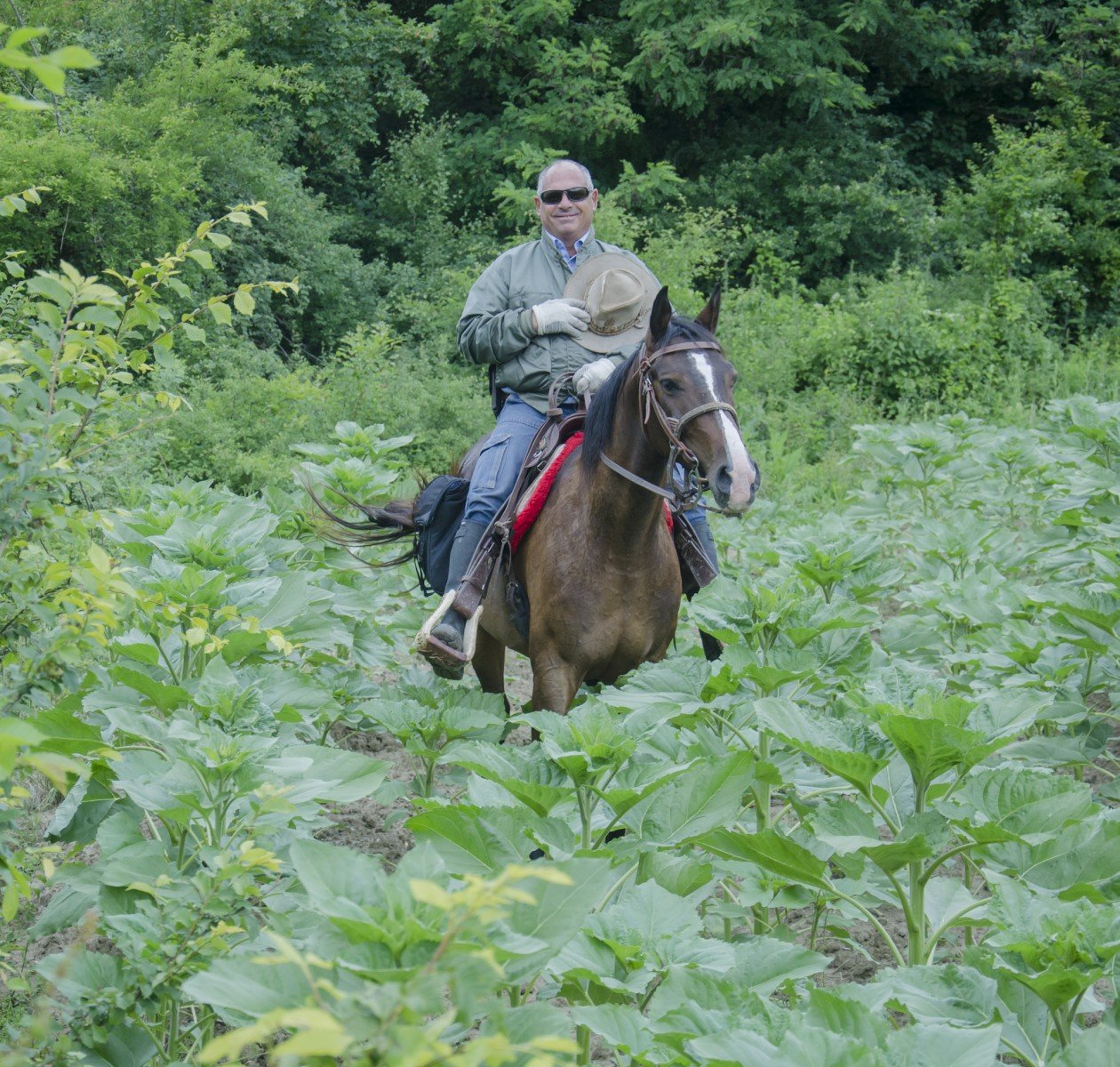 Magic Caves, Waterfalls & Castles - horseXperiences™ GO EQUESTRIAN