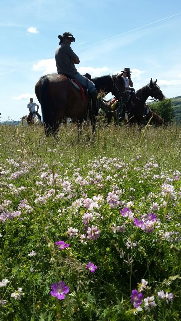 Tour in Medieval Bulgaria - horseXperiences™ GO EQUESTRIAN
