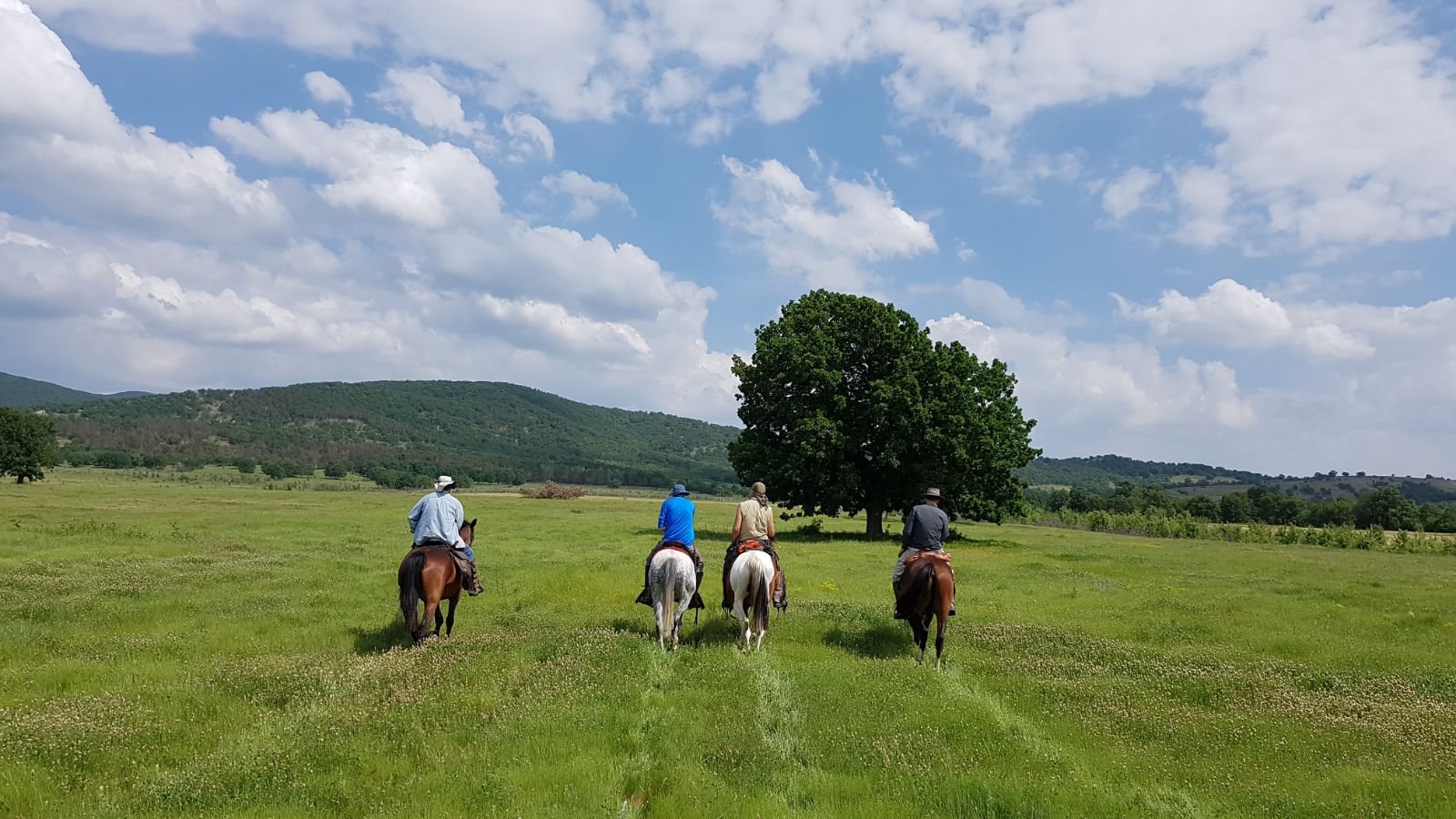 The Kingdom of The Thracians - horseXperiences™ GO EQUESTRIAN