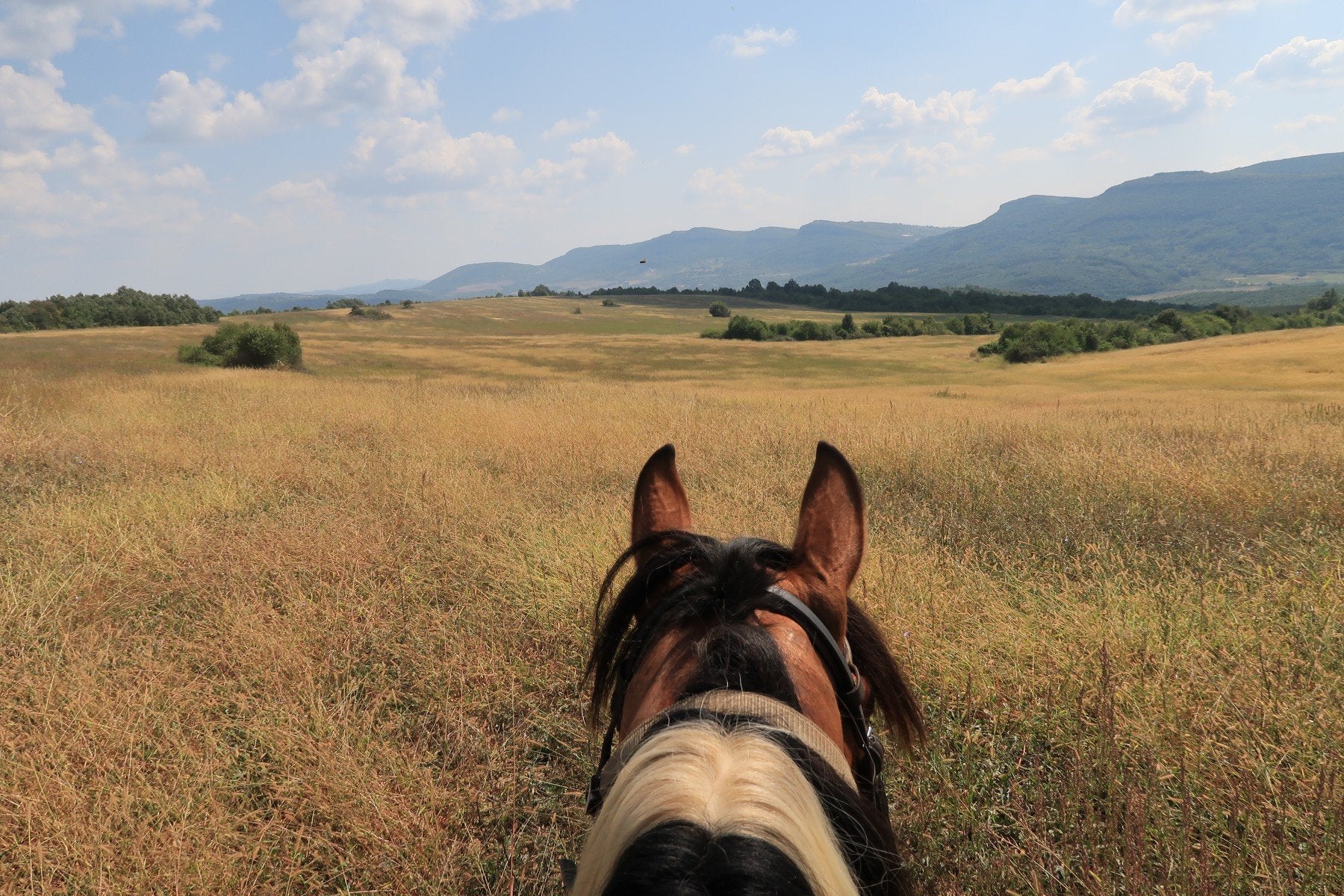 Magic Caves, Waterfalls & Castles - horseXperiences™ GO EQUESTRIAN