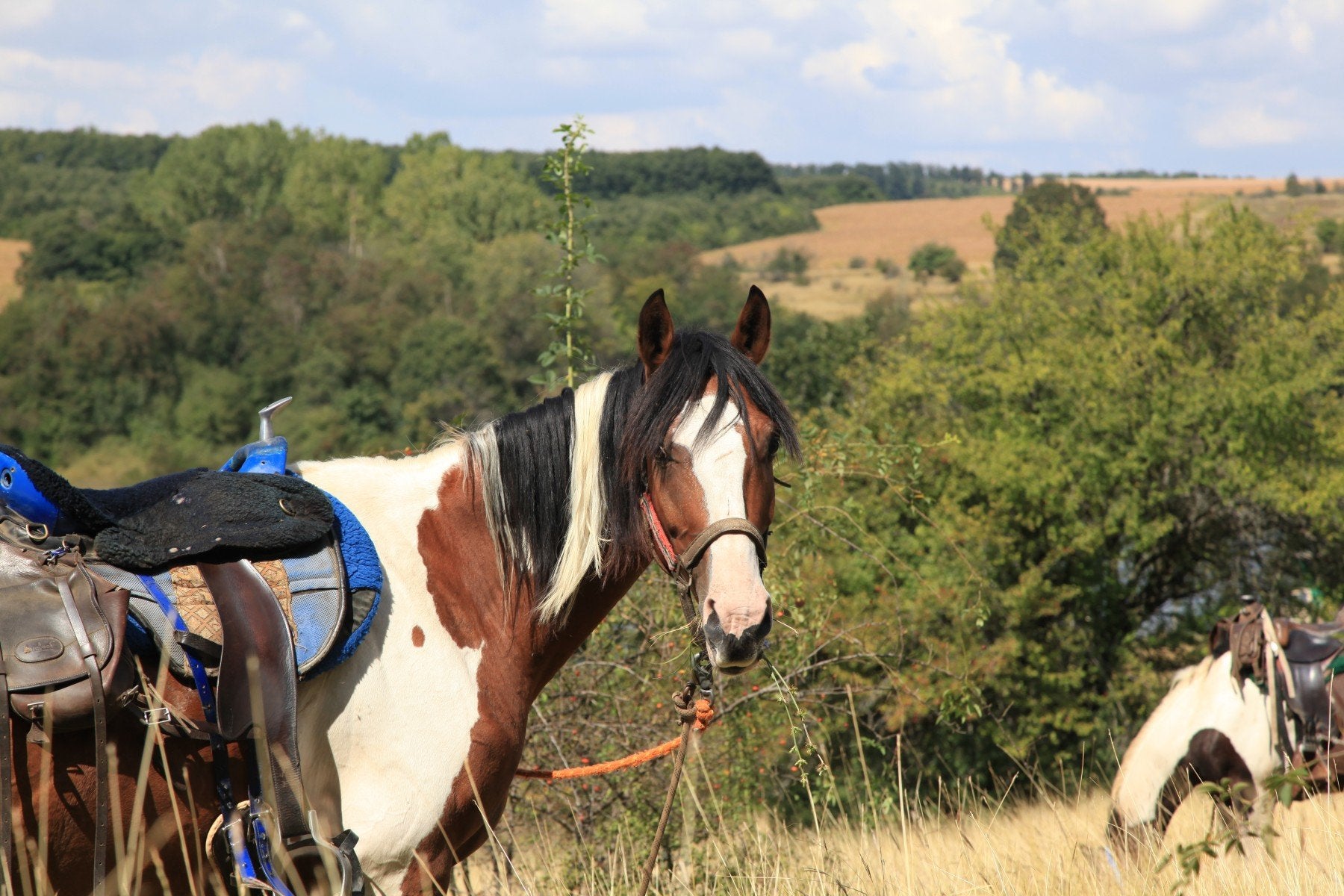 Magic Caves, Waterfalls & Castles - horseXperiences™ GO EQUESTRIAN