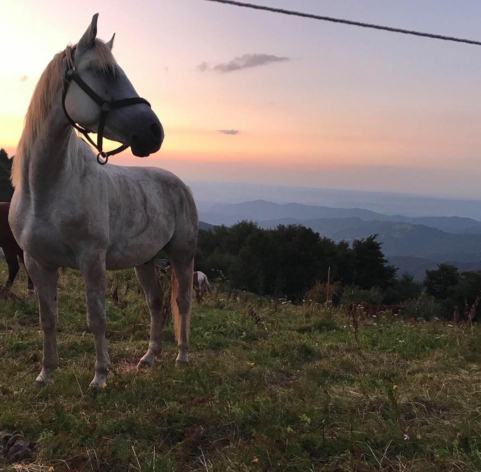 Central Balkan National Park - horseXperiences™ GO EQUESTRIAN