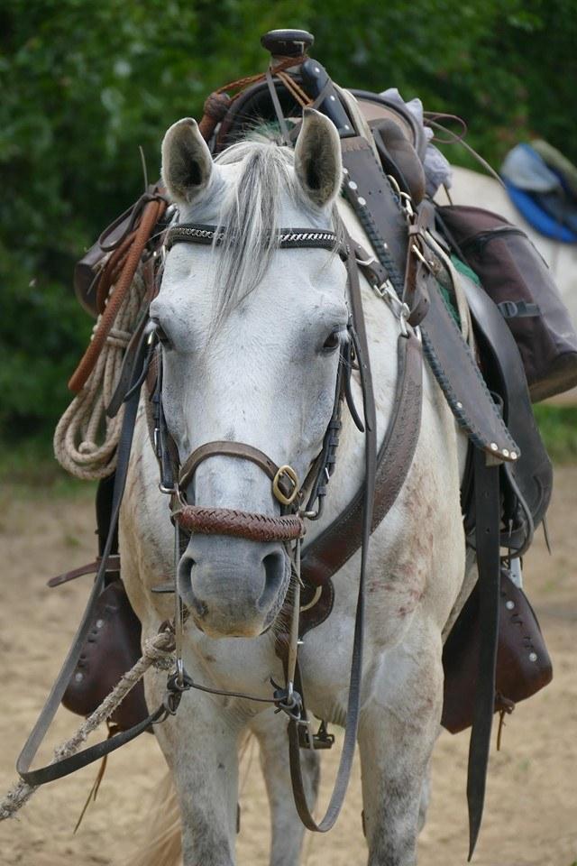 Central Balkan National Park - horseXperiences™ GO EQUESTRIAN