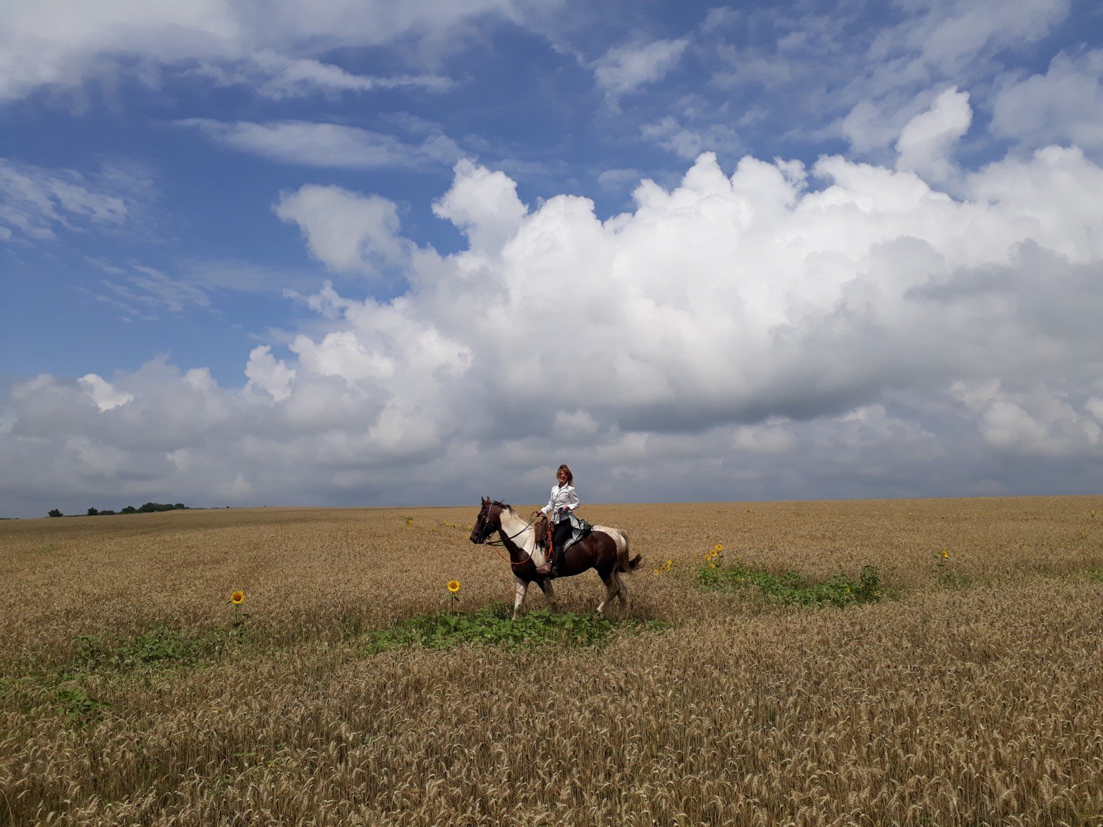 Tour in Medieval Bulgaria - horseXperiences™ GO EQUESTRIAN