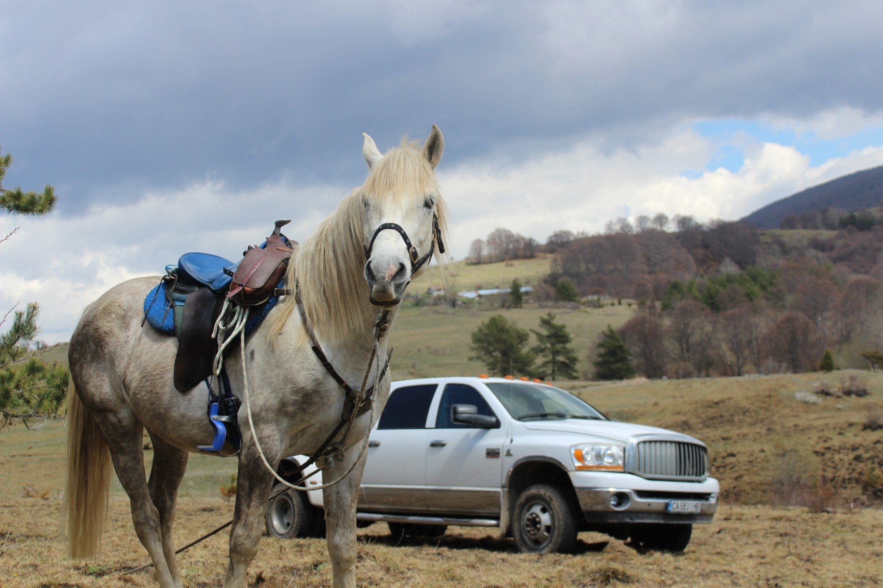 The Kingdom of The Thracians - horseXperiences™ GO EQUESTRIAN