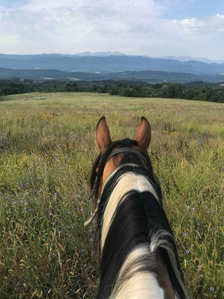 Central Balkan National Park - horseXperiences™ GO EQUESTRIAN